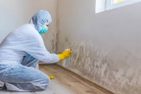 Mold Removal for HVAC Installations in Independence, LA