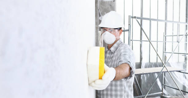 Professional Mold Inspection in Independence, LA