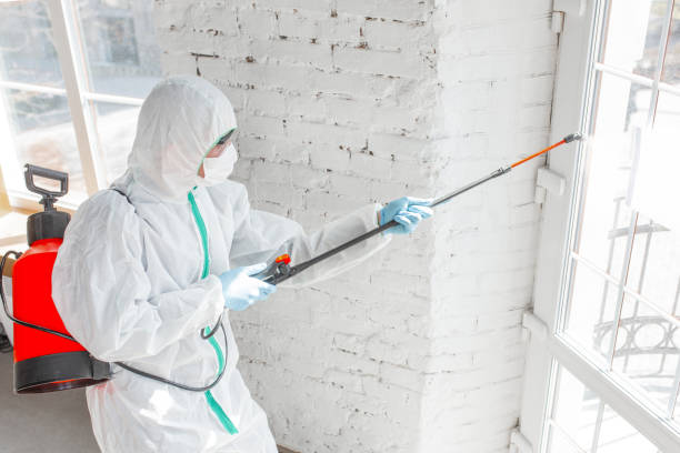 Best Comprehensive Air Testing for Mold Contaminants  in Independence, LA