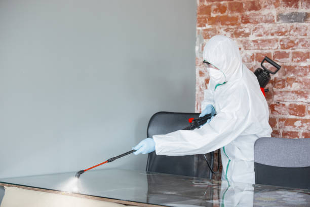 Best Environmental Consulting for Mold Prevention  in Independence, LA